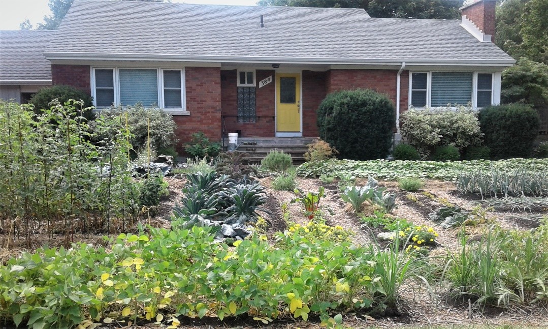 Designing a front yard garden…where do I start? 1000 Islands Master